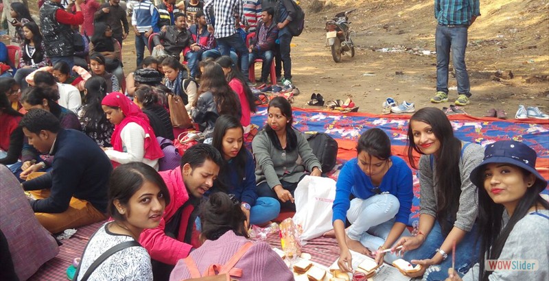 Picnic Moments